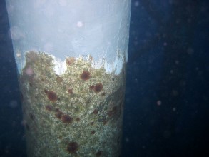 Corroded platform leg below the waterline Corroded platform leg below the waterline